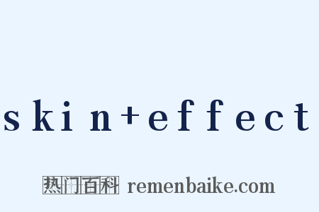 skin+effect是什么意思的图片